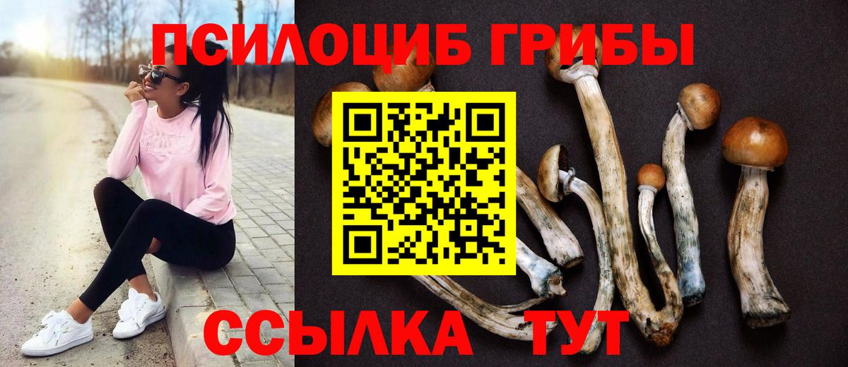 Псилоцибиновые грибы Cubensis  Вход с VPN  Галлюциногенные грибы Cubensis  Бахчисарай 