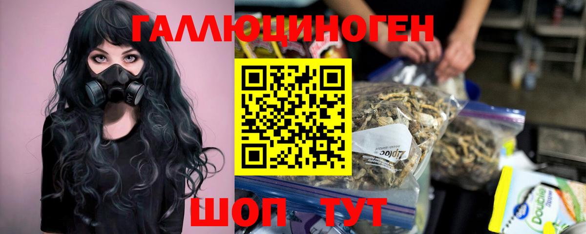 Псилоцибиновые грибы прущие грибы Бахчисарай